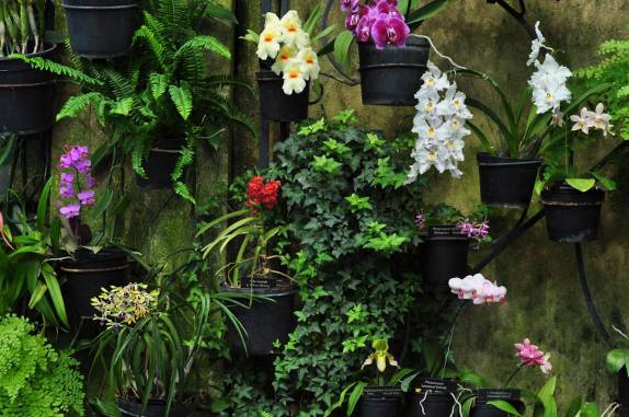 As maravilhosas flores na estufa do Longwood Gardens, na Pennsylvania - Estados Unidos